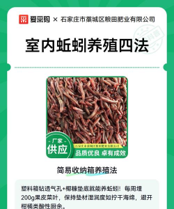 蚯蚓养殖加盟合作,选择靠谱平台,实现稳定收益 蚯蚓养殖加盟合作,选择靠谱平台,实现稳定收益