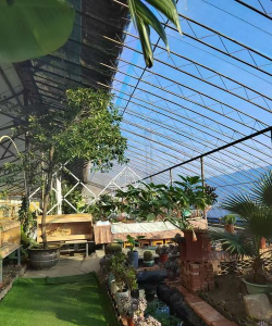 温室大棚养花,新手入门指南,轻松打造花海 温室大棚养花,新手入门指南,轻松打造花海