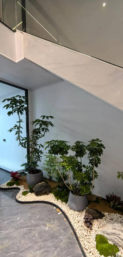 微型花卉,打造精致小花园,提升生活幸福感 微型花卉,打造精致小花园,提升生活幸福感