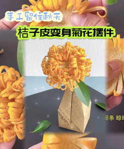 桔子皮养花,废物利用,省钱又环保 桔子皮养花,废物利用,省钱又环保