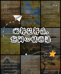 养花养鱼的心情语录,记录生活美好,分享内心感悟 养花养鱼的心情语录,记录生活美好,分享内心感悟