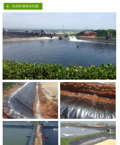 莲藕养殖防渗膜,防止水分流失,提升养殖效率 莲藕养殖防渗膜,防止水分流失,提升养殖效率