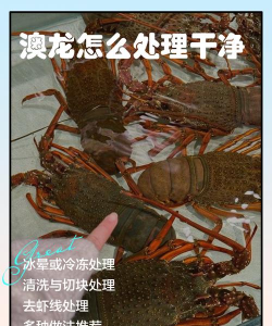 大龙虾的养殖方法,掌握关键步骤,实现高效养殖 大龙虾的养殖方法,掌握关键步骤,实现高效养殖