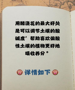 养花加醋,改善土壤酸碱,促进植物生长 养花加醋,改善土壤酸碱,促进植物生长