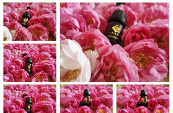 花卉精油,提取天然精华,提升生活品质 花卉精油,提取天然精华,提升生活品质