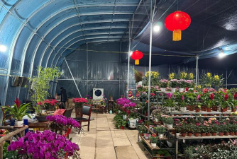 花卉大棚建造,选址很关键,材料要选好 花卉大棚建造,选址很关键,材料要选好