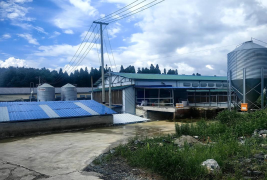 农广天地全部养殖视频,哪里找最全,怎么看最方便 农广天地全部养殖视频,哪里找最全,怎么看最方便