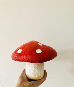 蘑菇棒养花,废物利用,环保又省钱 蘑菇棒养花,废物利用,环保又省钱