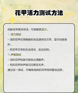 海水晶养花甲,保持鲜活,延长存活时间 海水晶养花甲,保持鲜活,延长存活时间