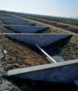 4平方水泥池养殖龙虾,空间利用技巧,新手入门指南 4平方水泥池养殖龙虾,空间利用技巧,新手入门指南