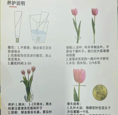 水瓶养花怎样保持长久,延长花期,日常养护技巧 水瓶养花怎样保持长久,延长花期,日常养护技巧