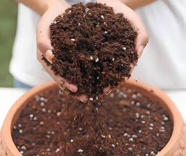 河泥养花,改善土壤,提升植物活力 河泥养花,改善土壤,提升植物活力