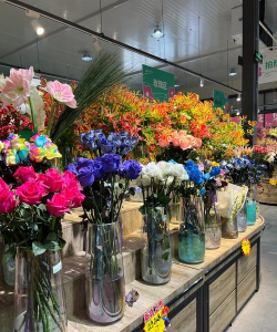 网上买花卉,挑选靠谱店铺,避开常见陷阱 网上买花卉,挑选靠谱店铺,避开常见陷阱