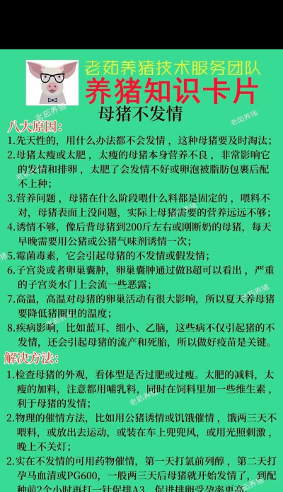 怎么养殖,新手入门,常见问题解答 怎么养殖,新手入门,常见问题解答