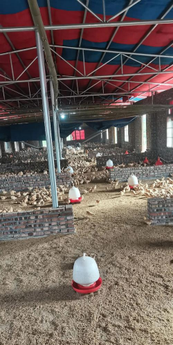 养殖场地,选址很关键,建设有讲究 养殖场地,选址很关键,建设有讲究