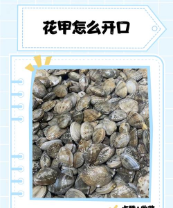 养花甲螺,新手入门指南,轻松掌握养殖技巧 养花甲螺,新手入门指南,轻松掌握养殖技巧