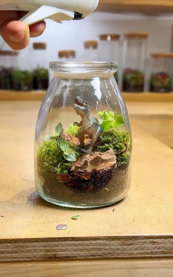 小口瓶养花,轻松打造微景观,新手也能养好 小口瓶养花,轻松打造微景观,新手也能养好