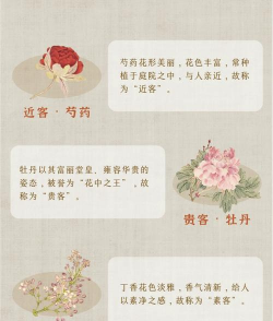 花卉成语,文化韵味,生活点缀 花卉成语,文化韵味,生活点缀