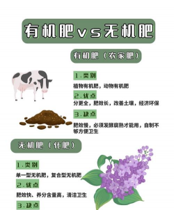 无机肥养花,提升生长效率,避免常见误区 无机肥养花,提升生长效率,避免常见误区