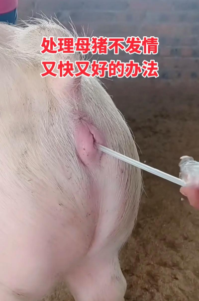 养殖视频大全,想看什么都有,帮你快速上手 养殖视频大全,想看什么都有,帮你快速上手