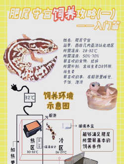 养殖教程,新手入门指南,常见问题解答 养殖教程,新手入门指南,常见问题解答