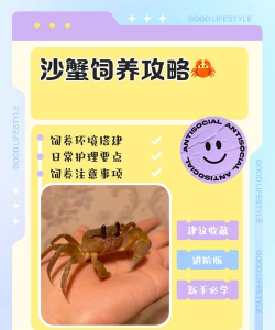 养殖螃蟹,掌握关键技巧,实现稳定收益 养殖螃蟹,掌握关键技巧,实现稳定收益