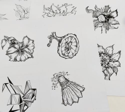 花卉变形设计,创意灵感来源,实用技巧分享 花卉变形设计,创意灵感来源,实用技巧分享