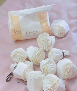 纸巾养花,简单易学,新手也能轻松上手 纸巾养花,简单易学,新手也能轻松上手