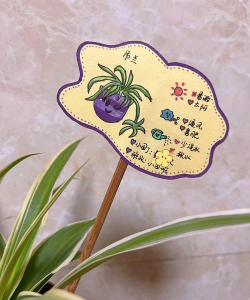 养花标签,新手必备,轻松管理植物 养花标签,新手必备,轻松管理植物