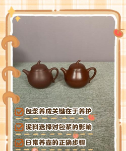 砂锅养花,创意玩法,轻松上手 砂锅养花,创意玩法,轻松上手