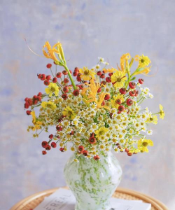 养花运势,提升生活情趣,带来美好心情 养花运势,提升生活情趣,带来美好心情