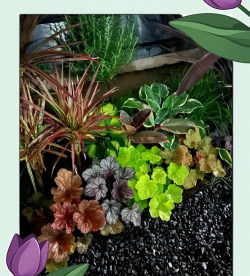 黑矾养花,改善土壤酸碱,促进植物生长 黑矾养花,改善土壤酸碱,促进植物生长