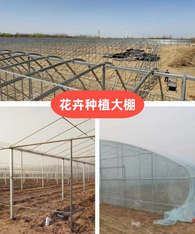 花卉大棚公司,专业建造方案,高效种植管理 花卉大棚公司,专业建造方案,高效种植管理