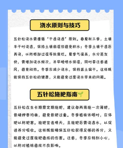 松针叶养花,改善土壤环境,提升植物生长 松针叶养花,改善土壤环境,提升植物生长