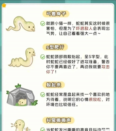 蛇养殖,入门技巧,常见问题解答 蛇养殖,入门技巧,常见问题解答