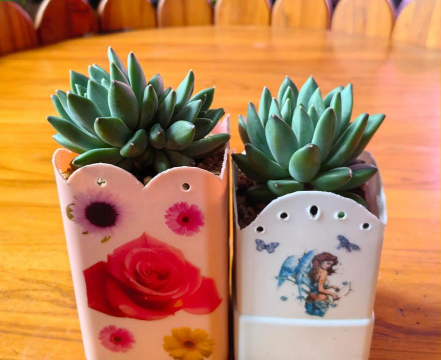 养花盆自制,省钱又环保,轻松打造个性盆栽 养花盆自制,省钱又环保,轻松打造个性盆栽