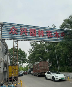 园林花卉公司,专业绿化服务,打造美丽家园 园林花卉公司,专业绿化服务,打造美丽家园