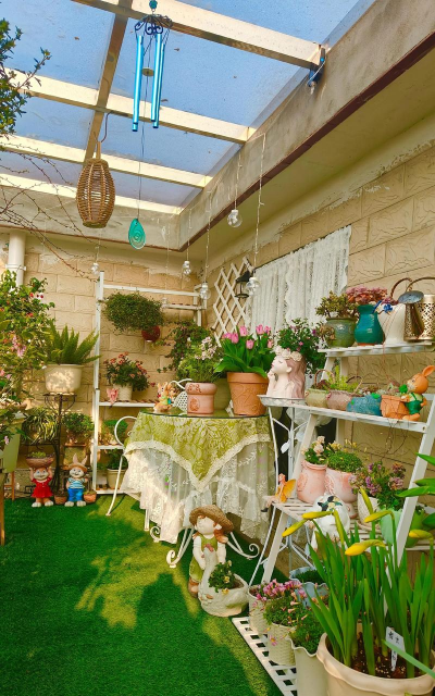 养花的计划,轻松上手,打造美丽花园 养花的计划,轻松上手,打造美丽花园