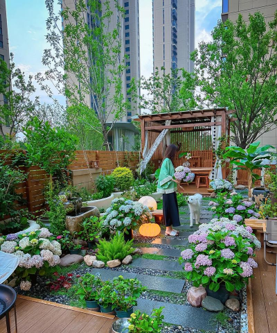 院子养花图片,美化庭院空间,分享种植心得 院子养花图片,美化庭院空间,分享种植心得