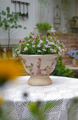 陶瓷杯养花,创意小盆栽,点亮生活角落 陶瓷杯养花,创意小盆栽,点亮生活角落