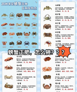 海鲜养殖,新手入门,常见问题解答 海鲜养殖,新手入门,常见问题解答