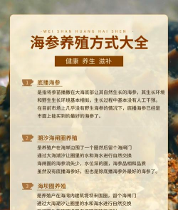 养殖海参,掌握核心方法,实现稳定收益 养殖海参,掌握核心方法,实现稳定收益