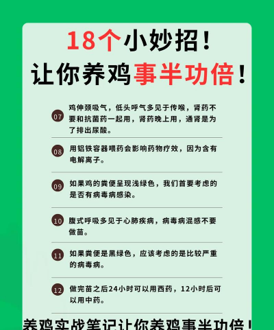 养殖肉鸡,掌握关键技巧,提升养殖效益 养殖肉鸡,掌握关键技巧,提升养殖效益