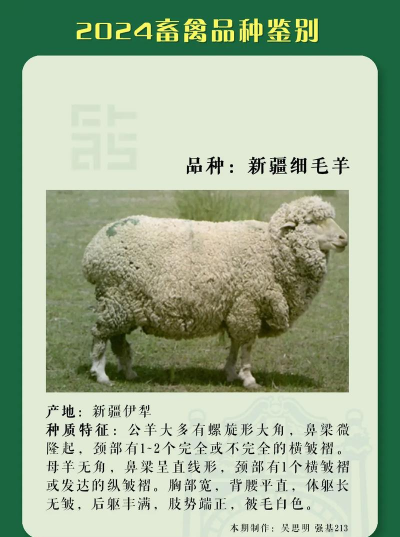 新疆养殖,气候条件特殊,养殖品种怎么选 新疆养殖,气候条件特殊,养殖品种怎么选