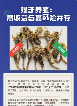 蝎子养殖,掌握关键技巧,实现稳定收益 蝎子养殖,掌握关键技巧,实现稳定收益