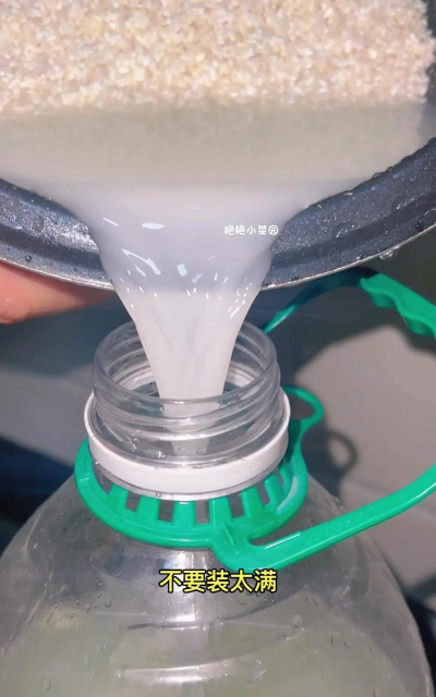 洗米水养花,天然肥料,省钱又环保 洗米水养花,天然肥料,省钱又环保