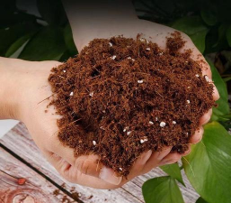 养花的土软,土壤疏松透气,植物生长更健康 养花的土软,土壤疏松透气,植物生长更健康