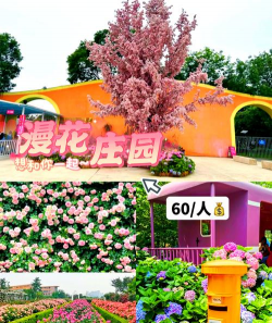 成都花卉基地,赏花好去处,品种多价格优 成都花卉基地,赏花好去处,品种多价格优