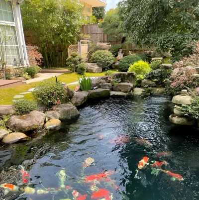 养花滴灌,省水省力,轻松打理花园 养花滴灌,省水省力,轻松打理花园