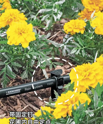 滴灌养花,省水省力,轻松打理花园 滴灌养花,省水省力,轻松打理花园